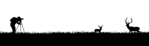 Мужчина Делает Черно Белую Фотографию Оленя — стоковое фото