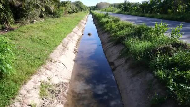 Navegável Para Agricultura Rural Tailândia Sistema Irrigação — Vídeo de Stock