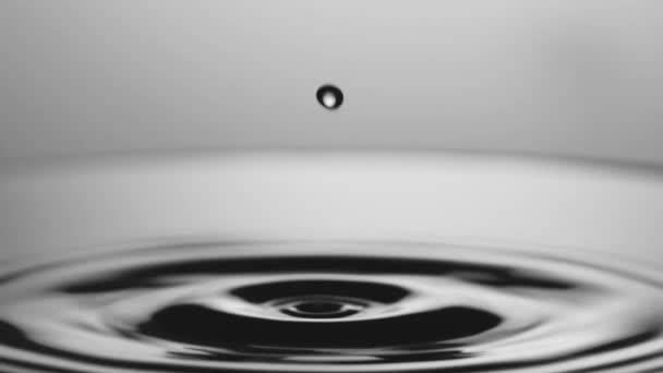 Estúdio Tiro Câmera Lenta Gotas Água Caindo Superfície Água Com — Vídeo de Stock