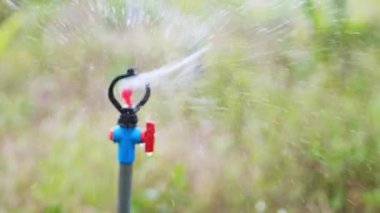 Bahçeyi sula. Dönen fıskiyeler bahçe sulama sisteminin bir parçasıdır. Meyve bahçesinde su yönetimi kavramı