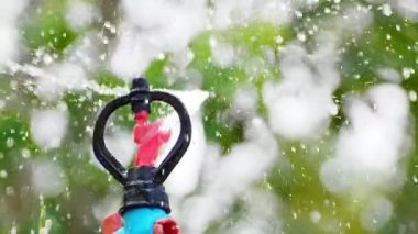 Bahçeyi sula. Dönen fıskiyeler bahçe sulama sisteminin bir parçasıdır. Meyve bahçesinde su yönetimi kavramı