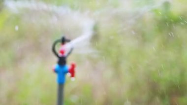 Bahçeyi sula. Dönen fıskiyeler bahçe sulama sisteminin bir parçasıdır. Meyve bahçesinde su yönetimi kavramı