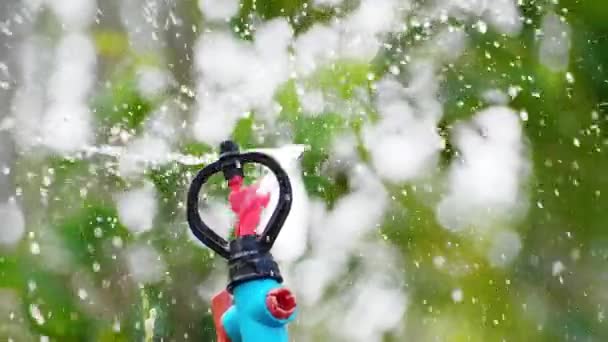 给花园浇水旋转洒水系统是花园浇水系统的一部分 果园水管理的概念 — 图库视频影像