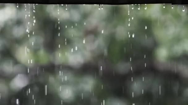 Gerakan Lambat Tetes Hujan Jatuh Dari Atap — Stok Video
