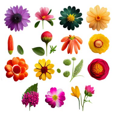 Beyaz arkaplanda izole edilmiş renkli çiçek koleksiyonu, 3d illüstrasyon