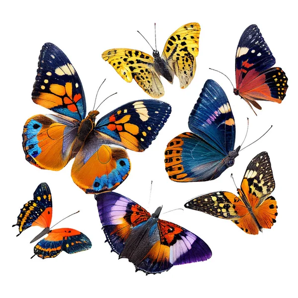 Krásné Motýly Izolované Bílém Pozadí — Stock fotografie