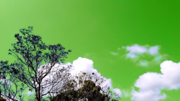 Weiße Wolken Bewegen Sich Auf Grünem Bildschirm — Stockvideo