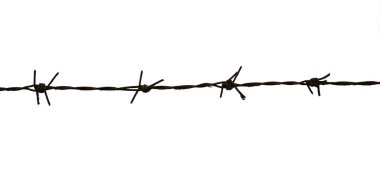 Dikenli teller kırpma yolu olan beyaz arkaplanda izole edildi