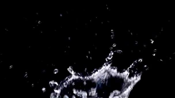Rallentatore Spruzzata Acqua Sfondo Nero — Video Stock