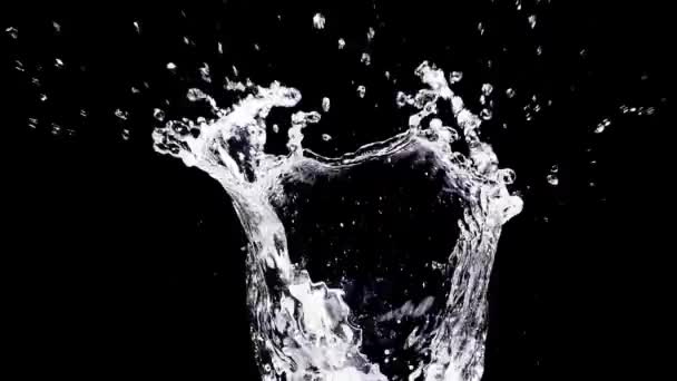 Wolny Ruch Woda Splash Czarnym Tle — Wideo stockowe