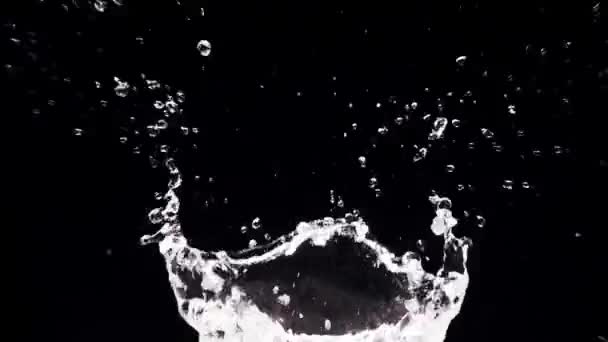 Zpomalený Pohyb Vodní Stříkance Černém Pozadí — Stock video