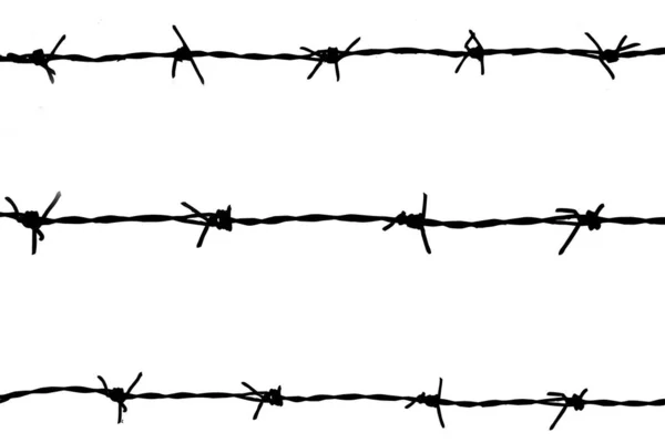 Barbed Wires Isolated White Background Clipping Path — Stock Photo, Image