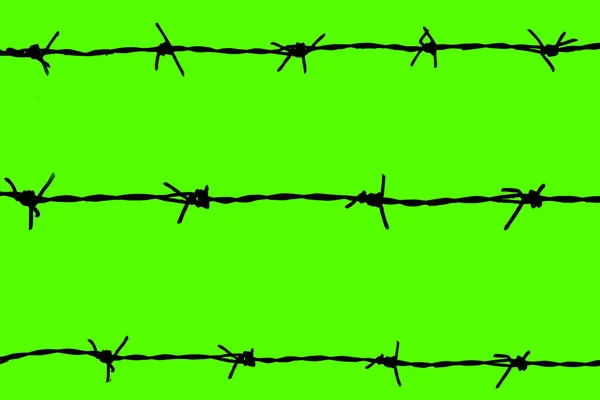 Barbed Wires Isolated Green Background Clipping Path —  Fotos de Stock