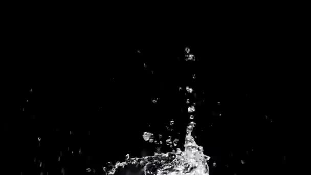 Siyah Arkaplanda Yavaş Çekim Sıçraması — Stok video
