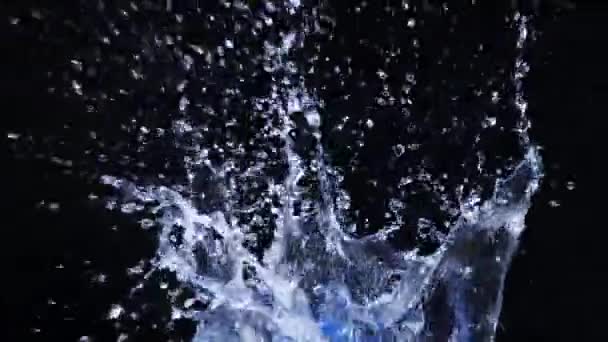Αργή Κίνηση Water Splash Μαύρο Φόντο — Αρχείο Βίντεο