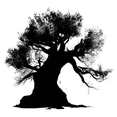 Beyaz arkaplanda Baobab ağaçlarının siyah silueti 