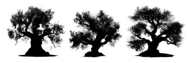 Beyaz arkaplanda Baobab ağaçlarının siyah silueti 