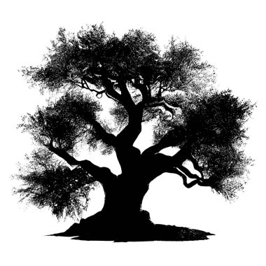 Beyaz arkaplanda Baobab ağaçlarının siyah silueti 