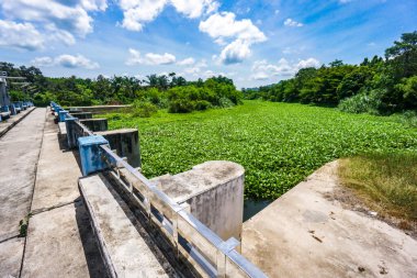 İyi su yönetimi konsepti. Tayland kırsalında küçük bir baraj. Kurak mevsimde su kullanılıyor..