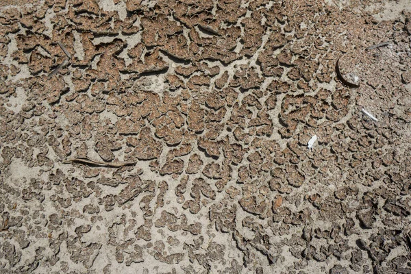 干ばつの概念 太陽の熱で割れた土 — ストック写真