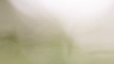 Dikenli tellerin yakın plan fotoğrafı. güvenlik kavramı