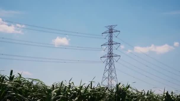 High Voltage Transmission Towers Complex Steel Structures — Video Stock