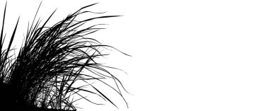 Beyaz arkaplanda bir çimenin vektör silueti 