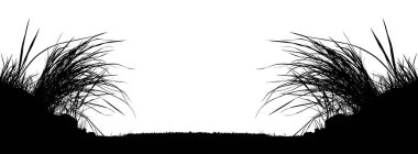 Beyaz arkaplanda bir çimenin vektör silueti 
