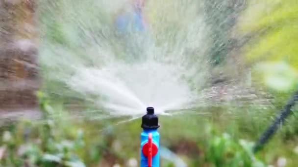 Slow Motion Sprinklers Distribute Water Watering Agricultural Fields — Stock Video
