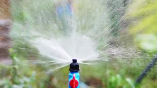 Slow Motion Sprinklers Verdelen Water Voor Besproeiing Landbouwvelden — Stockvideo