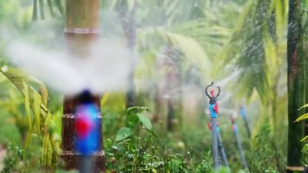 Slow Motion Sprinklers Distribuerar Vatten För Bevattning Åkrar — Stockvideo