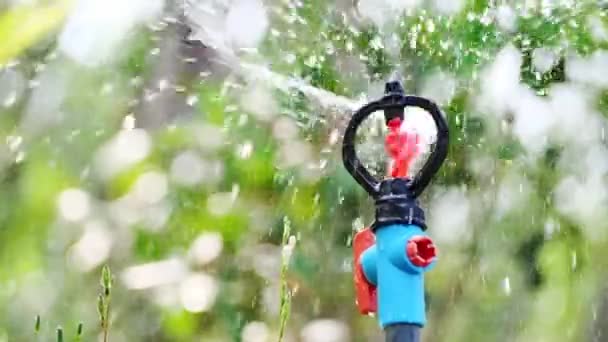Sprinklers는 분야에 급수를 배부합니다 — 비디오