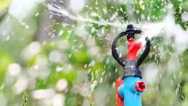 Повільний Рух Спринклери Розподіляють Воду Поливу Сільськогосподарських Полях — стокове відео