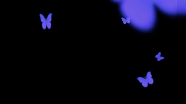 Animacja Motyle Latające Czarnym Tle — Wideo stockowe