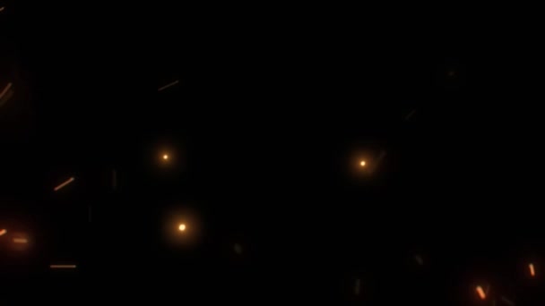 動いている粒子 クリスマスライトの背景 黒い背景で夜に火を放つ — ストック動画