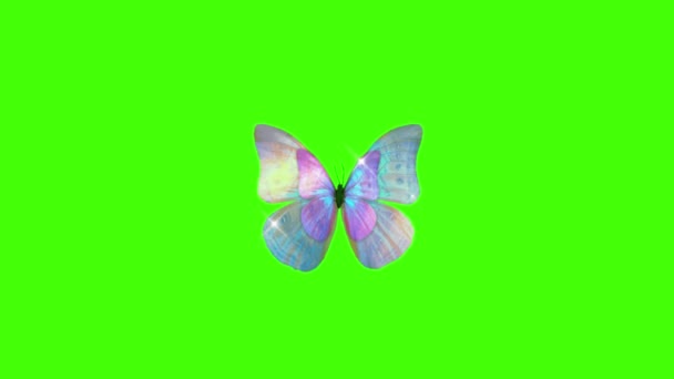 Mooie Vlinder Vliegen Groen Scherm Achtergrond — Stockvideo