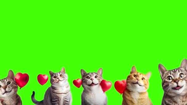 Gatos Bonitos Com Corações Fundo Tela Verde — Vídeo de Stock