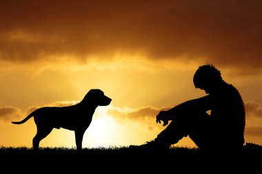 Köpek, insanın en iyi arkadaş konseptidir. Yanında köpek olan çaresiz bir adam imajı.