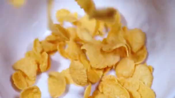 Corn Flakes Breakfast Cereal Fast Food Breakfast Concept Pour Cornflakes — Stock Video