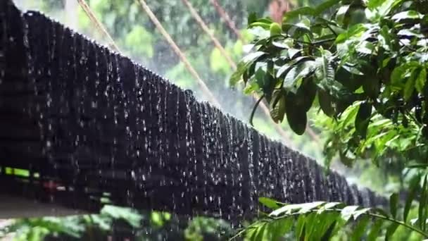 Lassú Mozgás Esőcseppek Esik Tetőről — Stock videók