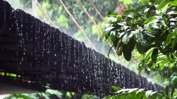 Slow Motion Raindrops Falling Roof — Stock Video