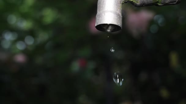 水不足と水危機のコンセプト 小さな水が出る蛇口 — ストック動画