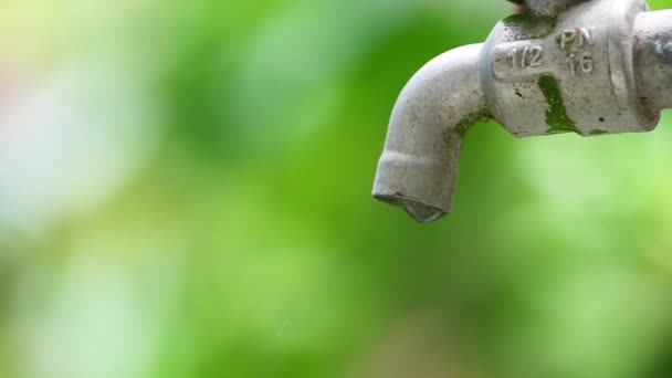 缺水和水危机概念 水龙头漏水少 — 图库视频影像