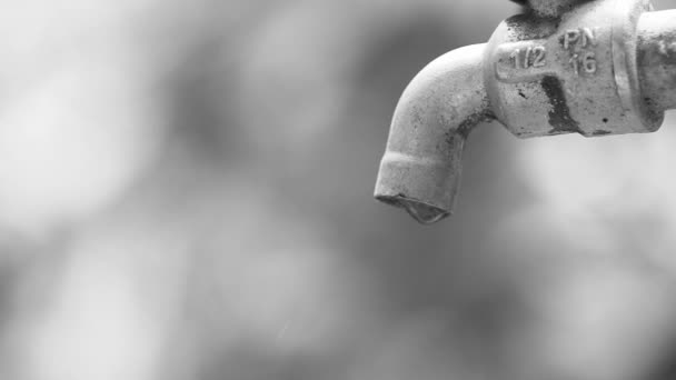Ein Undichter Wasserhahn Verursacht Leider Auch Bei Vollständig Geschlossenem Wasserhahn — Stockvideo
