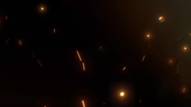 Hareket Halindeki Parçacıklar Noel Işıkları Arka Planı Gecenin Karanlığında Siyah — Stok video