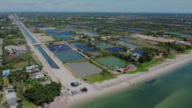İnsansız hava aracı, tropikal bölgelerdeki deniz suyu tarlalarının üzerinde gün ışığında uçuyor. Ürünler dünya çapında ihraç edildi. Tayland 'da deniz ürünleri endüstrisi ve tüketimi