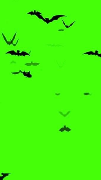 Sylwetka Nietoperzy Locie Zielonym Ekranie — Wideo stockowe