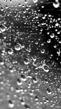 Siyah zemin üzerinde su damlacıklarının yakın plan görüntüsü