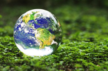 Yeşil bitkiler üzerindeki dünya. Dünyayı ve çevreyi sevme kavramı. 