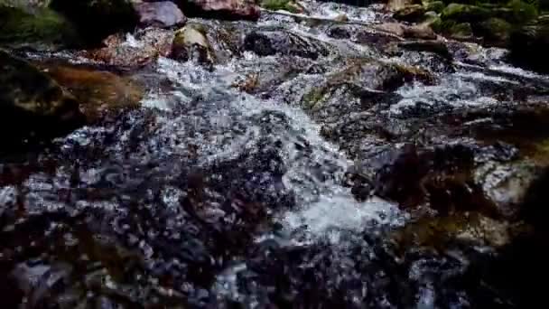 Vattenfall Den Tropiska Regnskogen Asien Ett Vattenfall Mitt Vacker Skog — Stockvideo